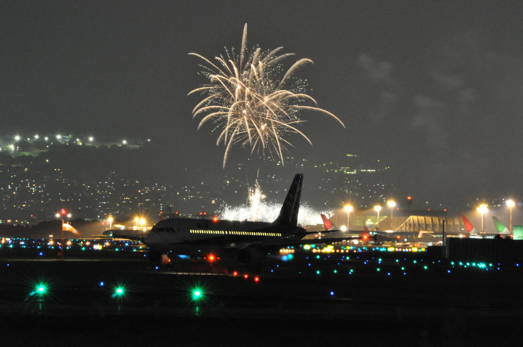 ＡＮＡ機とＨＡＮＡＢＩ