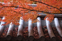 西山　明光寺１
