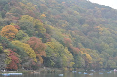 嵐山の色合い