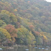 嵐山の色合い