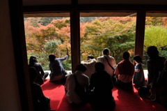 紅葉の景色
