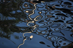 海画