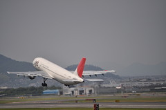 旅立ち