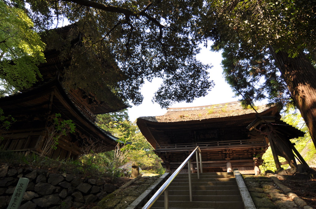 西明寺。