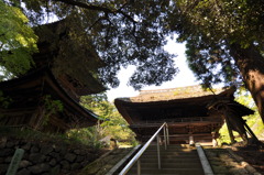 西明寺。