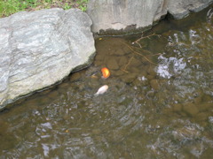 DSCN0038