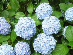 DSCN0033