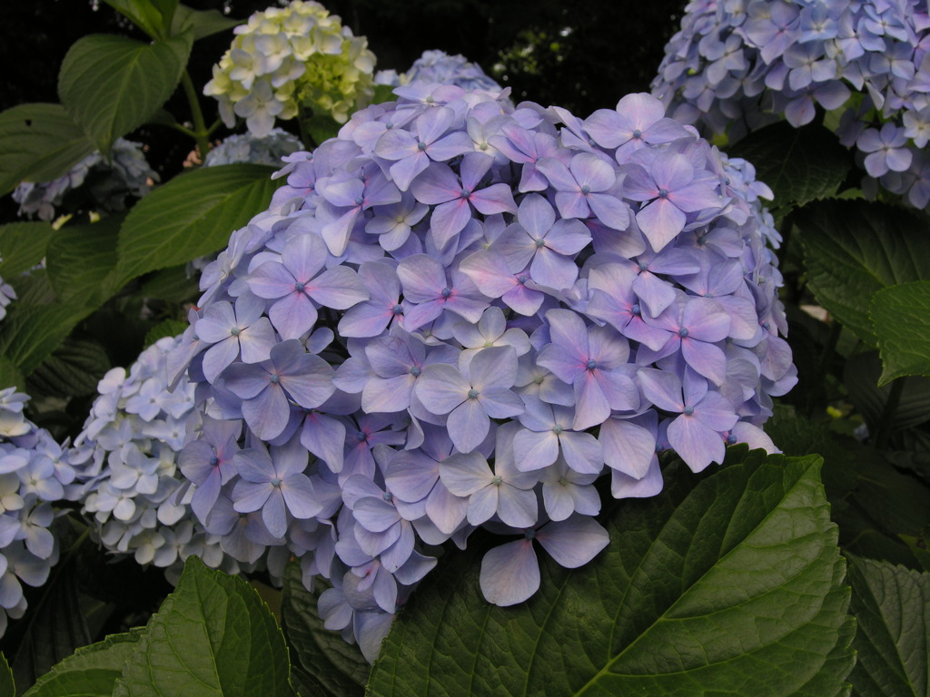 DSCN0032