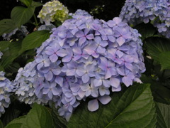 DSCN0032