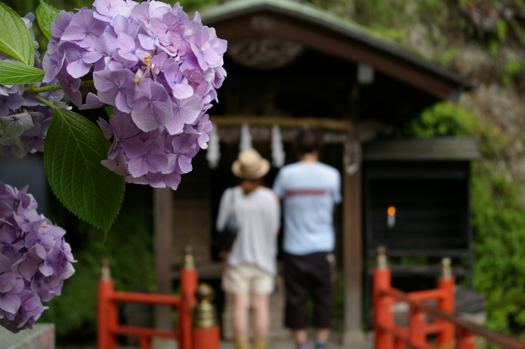 銭洗弁天　恋人たち　水無月