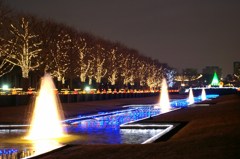 昭和記念公園　ライトアップ１
