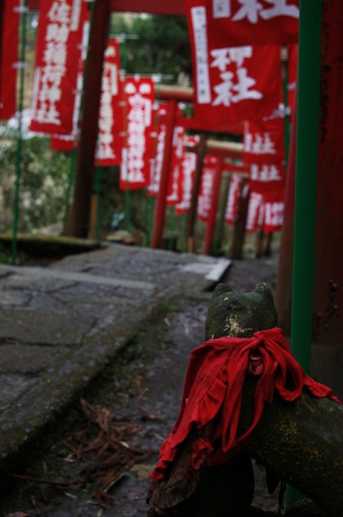 佐助稲荷　お稲荷さん