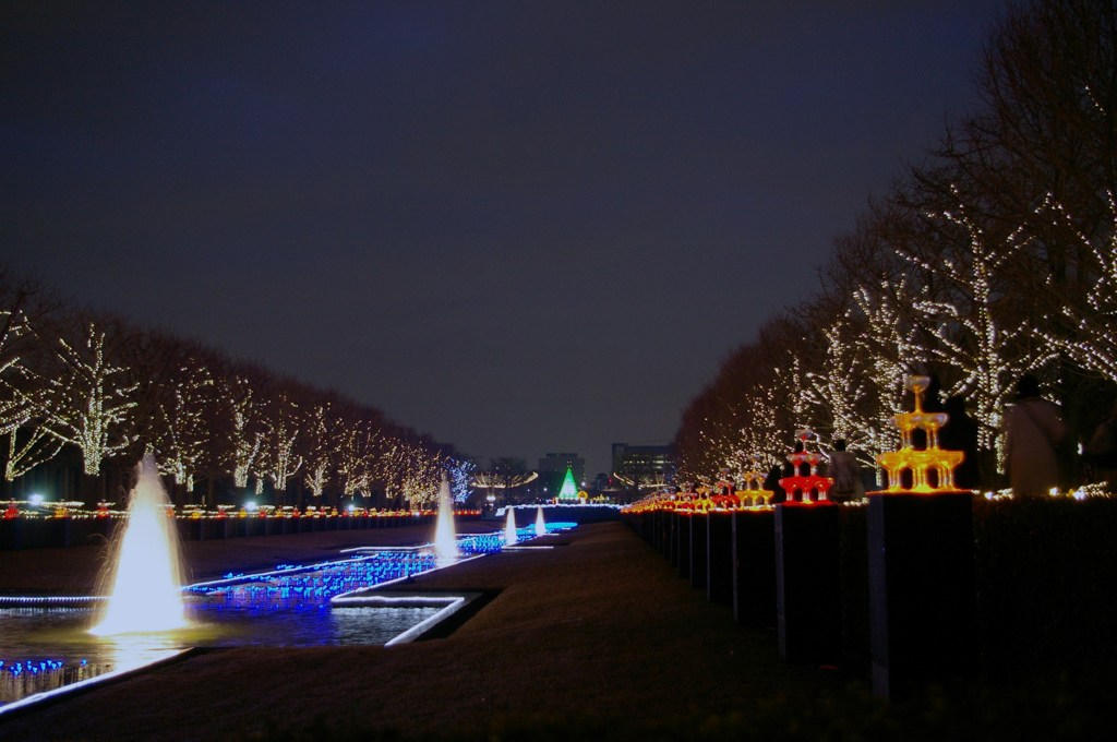 昭和記念公園　ライトアップ２