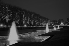 昭和記念公園　ライトアップ６