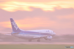 鹿児島空港にて　夕映えの中へ離陸
