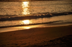 夕日に映えて