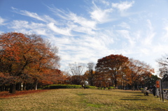 冬の予感