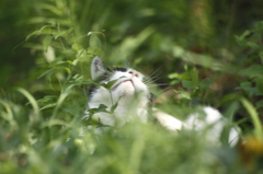 かゆいよ～