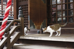こう着状態