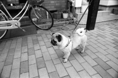 つまんね