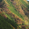 秋模様
