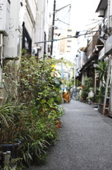 路地裏