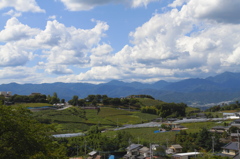 一望