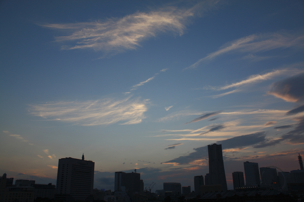 夜景前