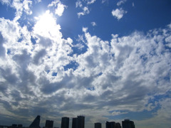 太陽に照らされて