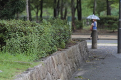 雨の大阪城公園