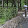 雨の大阪城公園