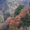 もうすぐ冬