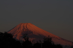 2011年朝