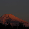 2011年朝