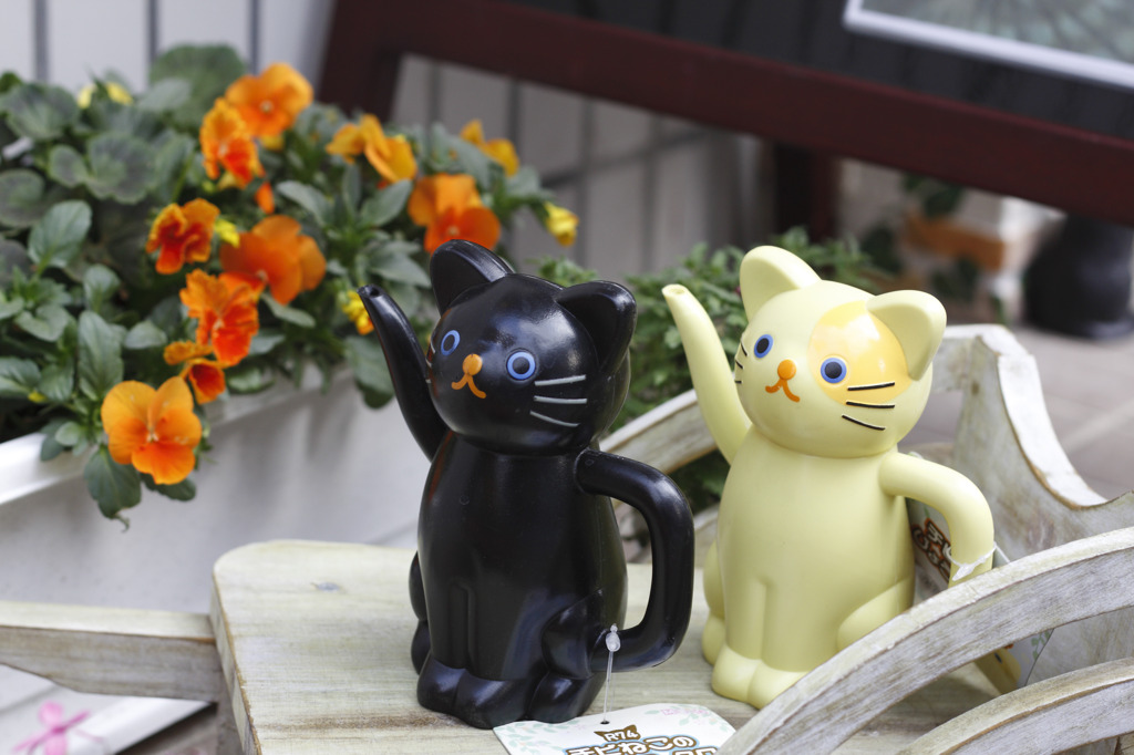 ちゃーす