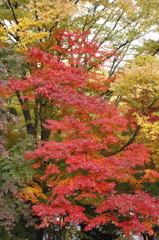 下山して一枚