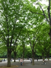 上野