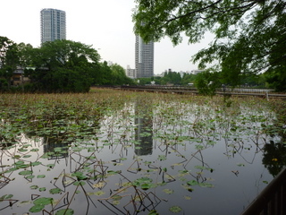 上野