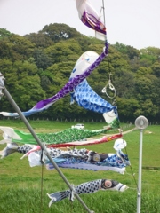 千葉県