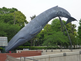 P1030754