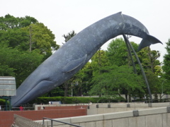 P1030754