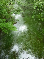 上高地