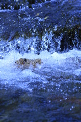 水の世界５