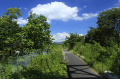 自転車道