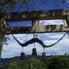 TORII