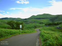 平尾台カルスト台地