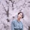 雨後の桜