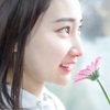 Gerbera