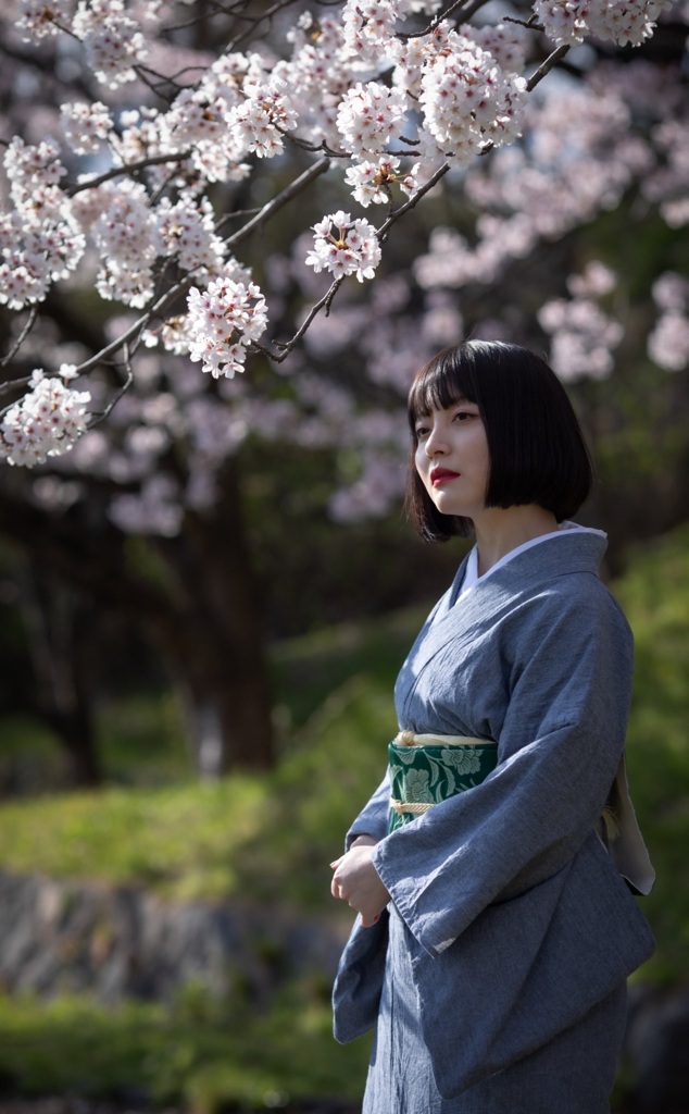 桜　4
