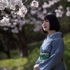 桜　4